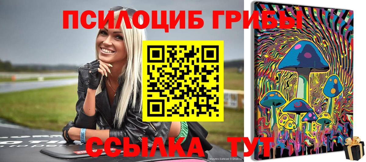 Галлюциногенные грибы MAGIC MUSHROOMS  Вход с VPN  Курчатов 